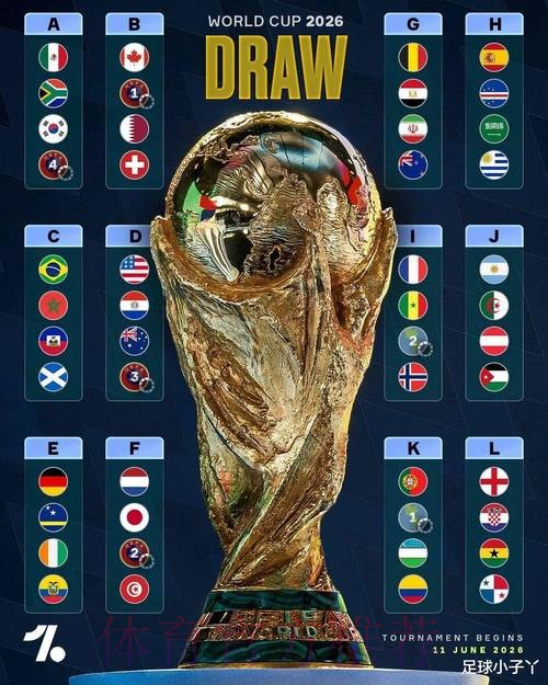 本届世界杯荷兰哈兰德比赛时间深度解读 本届世界杯荷兰哈兰德比赛时间深度解读