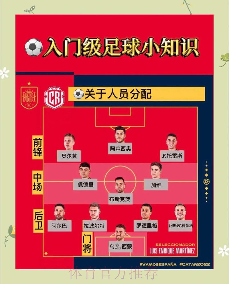 世界杯葡萄牙内马尔比赛解读完整指南